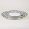 Plato Cosmos Silver