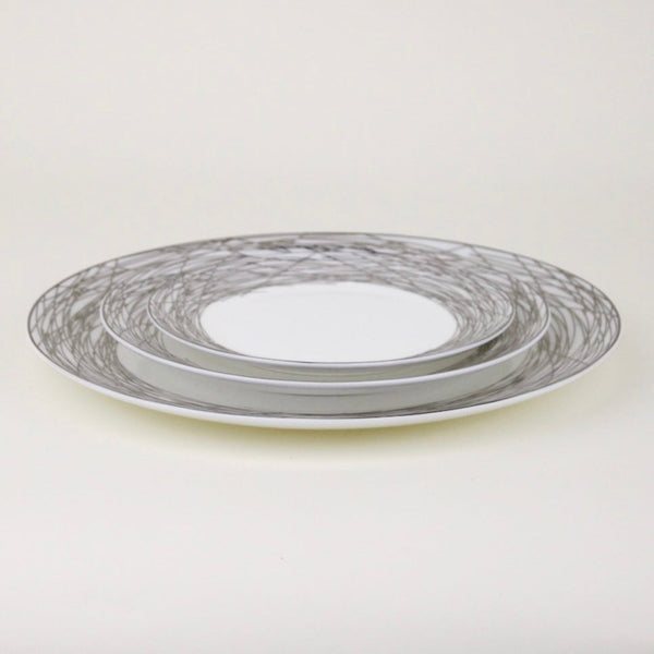 Plato Cosmos Silver